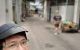 thum-9061978_bnBUtQigwd_1686388807.jpg