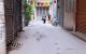 thum-9062101_2wJ4OFrpWg_1686470688.jpg