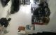 thum-9063024_cEYfZeQAhw_1686798646.jpg