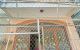 thum-m_WaFp1Gbs4e_1686793528.jpg