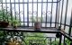 thum-m_sXiU4fRwhN_1686800452.jpg