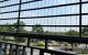 thum-9063530_OqEDKTBwQx_1686968036.jpg