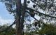 thum-9063631_dYoThJfnzp_1686993503.jpg
