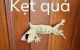 thum-9063653_OLsQAI3ciX_1687004186.jpg