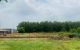 thum-9063802_Z47LkOPRCT_1687095265.jpg
