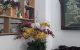 thum-m_712ImWt9OF_1687048134.jpg