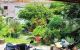 thum-m_W7DBCVlrfu_1687086097.jpg