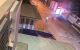 thum-9064042_NxHBULTpov_1687180510.jpg
