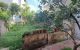 thum-m_InGb9ET0N1_1687165560.jpg