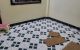 thum-9065094_OP38AFZcTx_1687425416.jpg