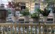 thum-9065198_zVQ72DNhvf_1687480425.jpg