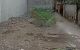 thum-9065225_lIstBzuybJ_1687487641.jpg