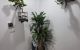 thum-9065445_o1OZbY3WI4_1687531250.jpg