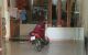 thum-9065560_CJ2yKADmcW_1687585001.jpg