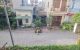 thum-9065650_KbVtBDwHlJ_1687651398.jpg