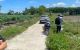thum-9065704_kPg4TawfRK_1687681735.jpg