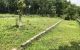 thum-9065857_4QpuSWaPAL_1687754391.jpg
