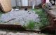 thum-m_ZQjGDwSmNd_1687796007.jpg