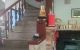 thum-m_nfWJplYAyr_1687778842.jpg