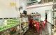 thum-9066172_fbXPckvYKC_1687840266.jpg