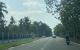 thum-9066272_X6u193Wz8H_1687855784.jpg