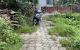 thum-m_tHOqIAT9Va_1688014122.jpg