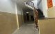 thum-9067150_9Jw0m4NXDi_1688098439.jpg