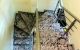 thum-9067152_I2vPiVhTo4_1688098620.jpg
