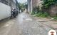 thum-9067210_ef2u8ny63j_1688110782.jpg