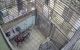 thum-9067212_lIh3edUvwO_1688110762.jpg
