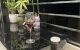 thum-9067269_tWP0C4eoQm_1688118760.jpg