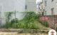 thum-m_37U0YveIql_1688110778.jpg