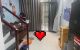 thum-m_m89jgRqAMy_1688117750.jpg