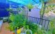 thum-9067681_4bT7lIRapz_1688345329.jpg