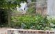 thum-9067811_hcsLBigRYt_1688372115.jpg