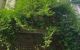 thum-m_yoCPvah6fE_1688457962.jpg