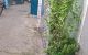thum-9068388_kcwUb2riC5_1688540267.jpg
