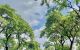 thum-m_1hTPZGIwB9_1688628048.jpg