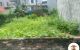 thum-m_OF7MhSsdPv_1688608573.jpg