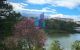 thum-9068954_AXfzbVtlPB_1688715748.jpg