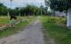 thum-9069206_YrvA0MR3FV_1688825743.jpg
