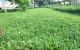 thum-9069786_oAyNfxd6l4_1689067313.jpg