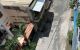 thum-m_H6AczDxyPf_1689041056.jpg