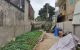 thum-m_OgjfBoUi97_1689064299.jpg