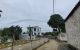 thum-m_TFBMk6YZld_1689152851.jpg