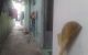 thum-9070557_MbNFyi1oSg_1689313843.jpg