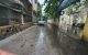 thum-9070770_c9kfhasA8u_1689387329.jpg