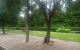 thum-9071003_HfTYuAZ5UM_1689494454.jpg