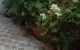 thum-9071152_WPur6YQZx4_1689578255.jpg