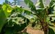 thum-m_NhWKsO2q0T_1689563754.jpg
